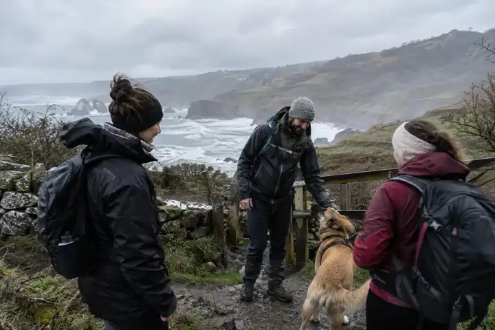 Grupo caminando por una ruta costera